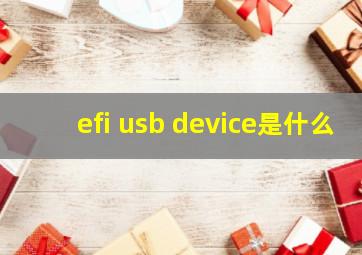 efi usb device是什么